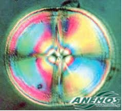 Ιδιότητες μαστίχας Ιδιότητες μαστίχας