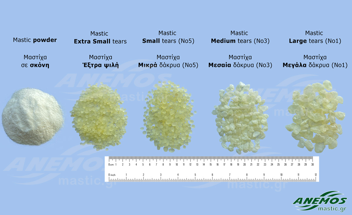 Mastic Size Comparison